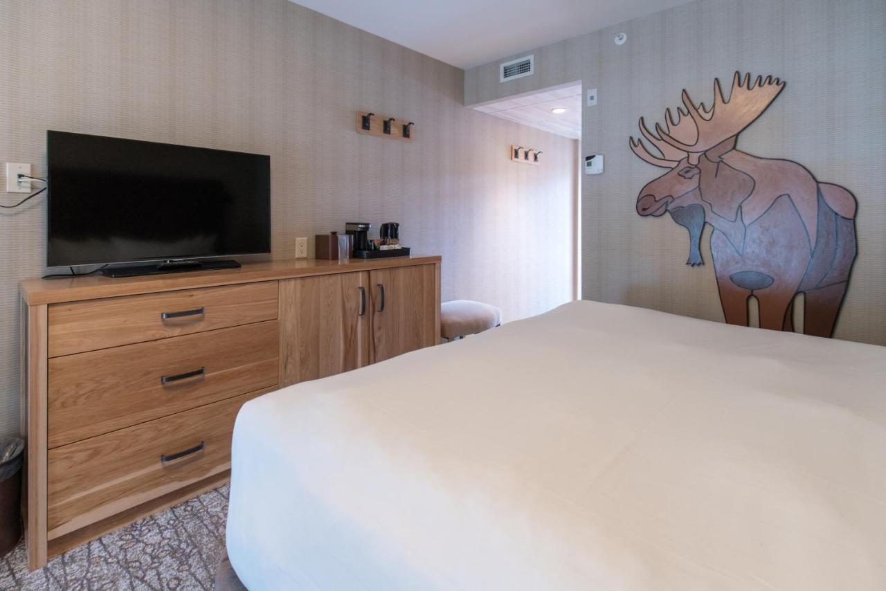 Moose Hotel And Suites Banff Luaran gambar