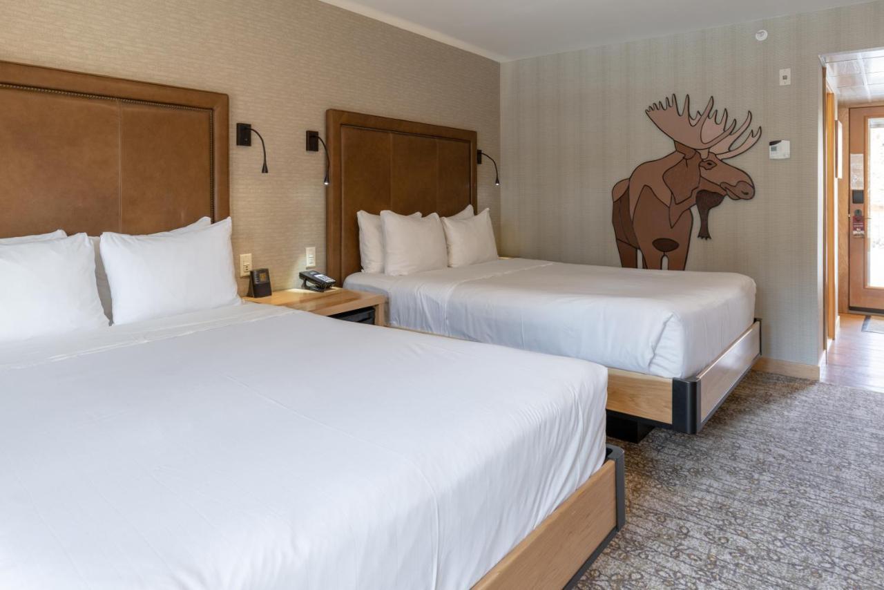 Moose Hotel And Suites Banff Luaran gambar