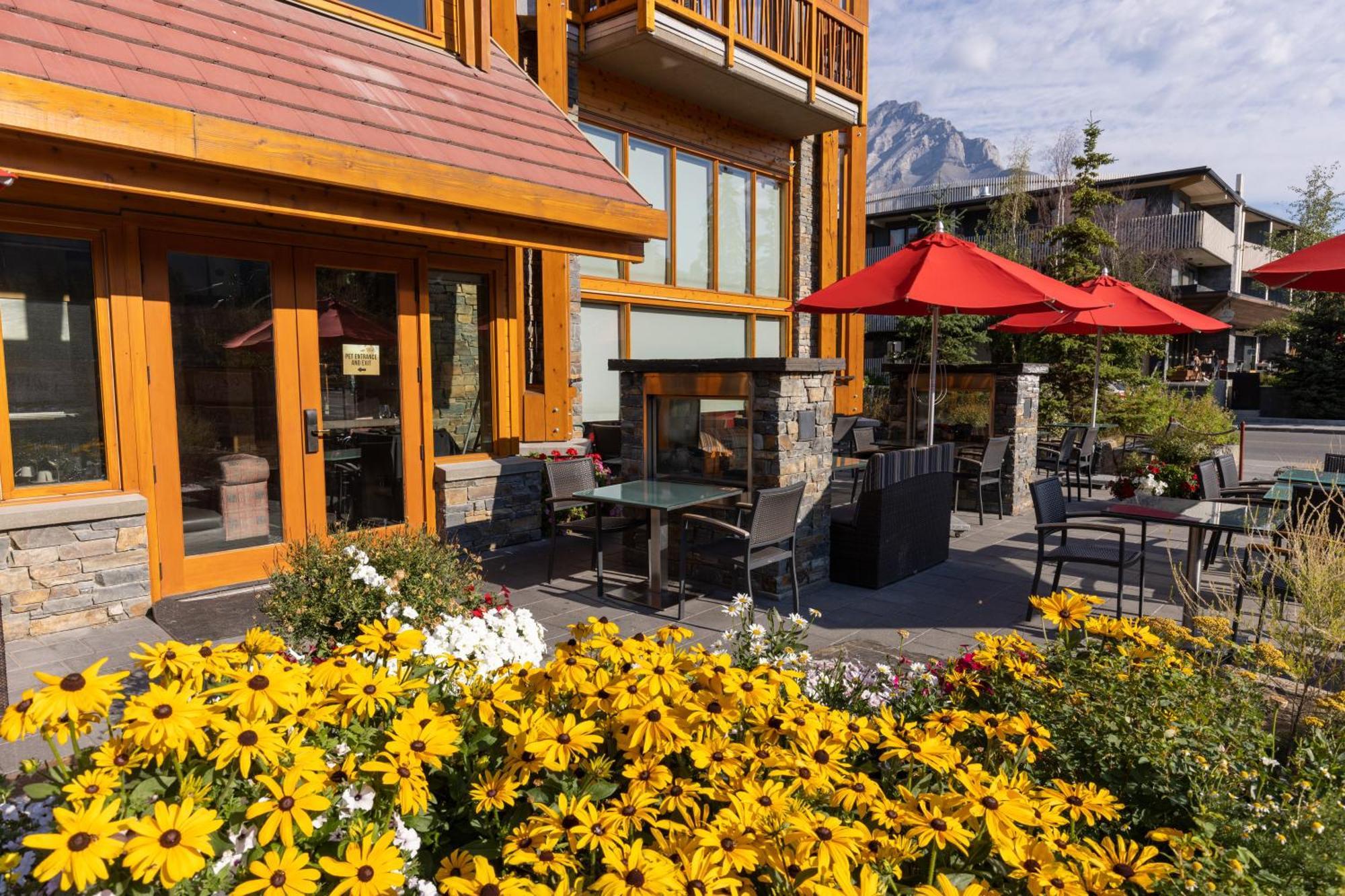 Moose Hotel And Suites Banff Luaran gambar